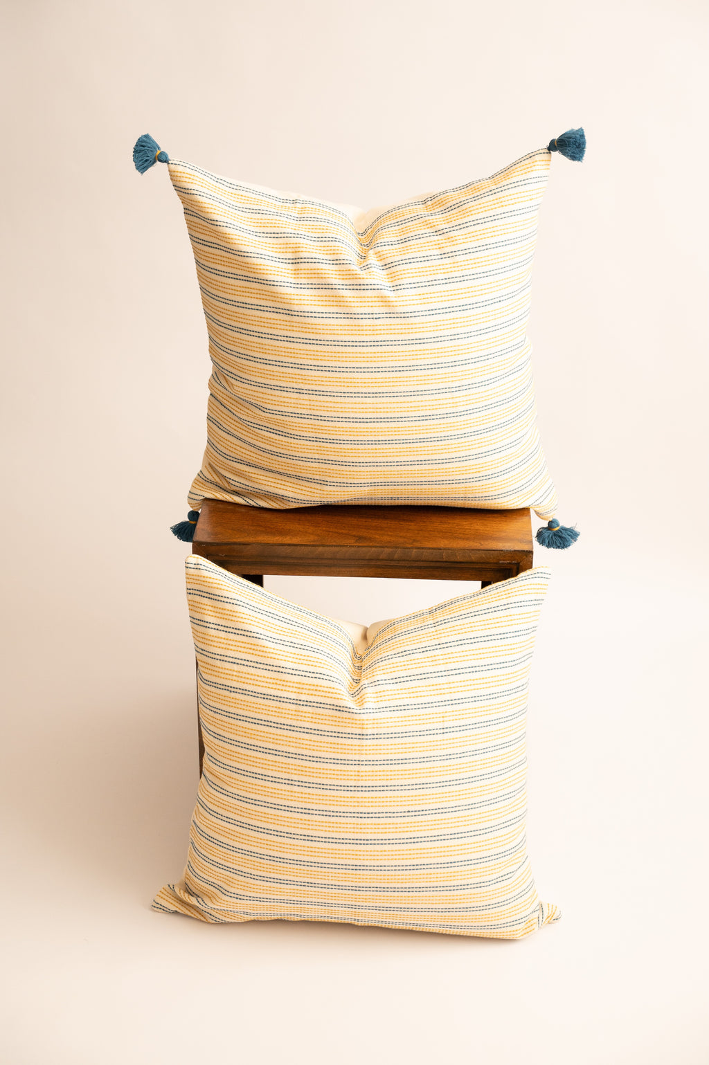 Ambar Handloom Throw Pillow 20"x20"