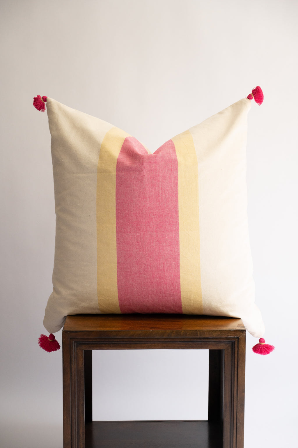 Saroj Handloom Throw Pillow 24"x24" Euro