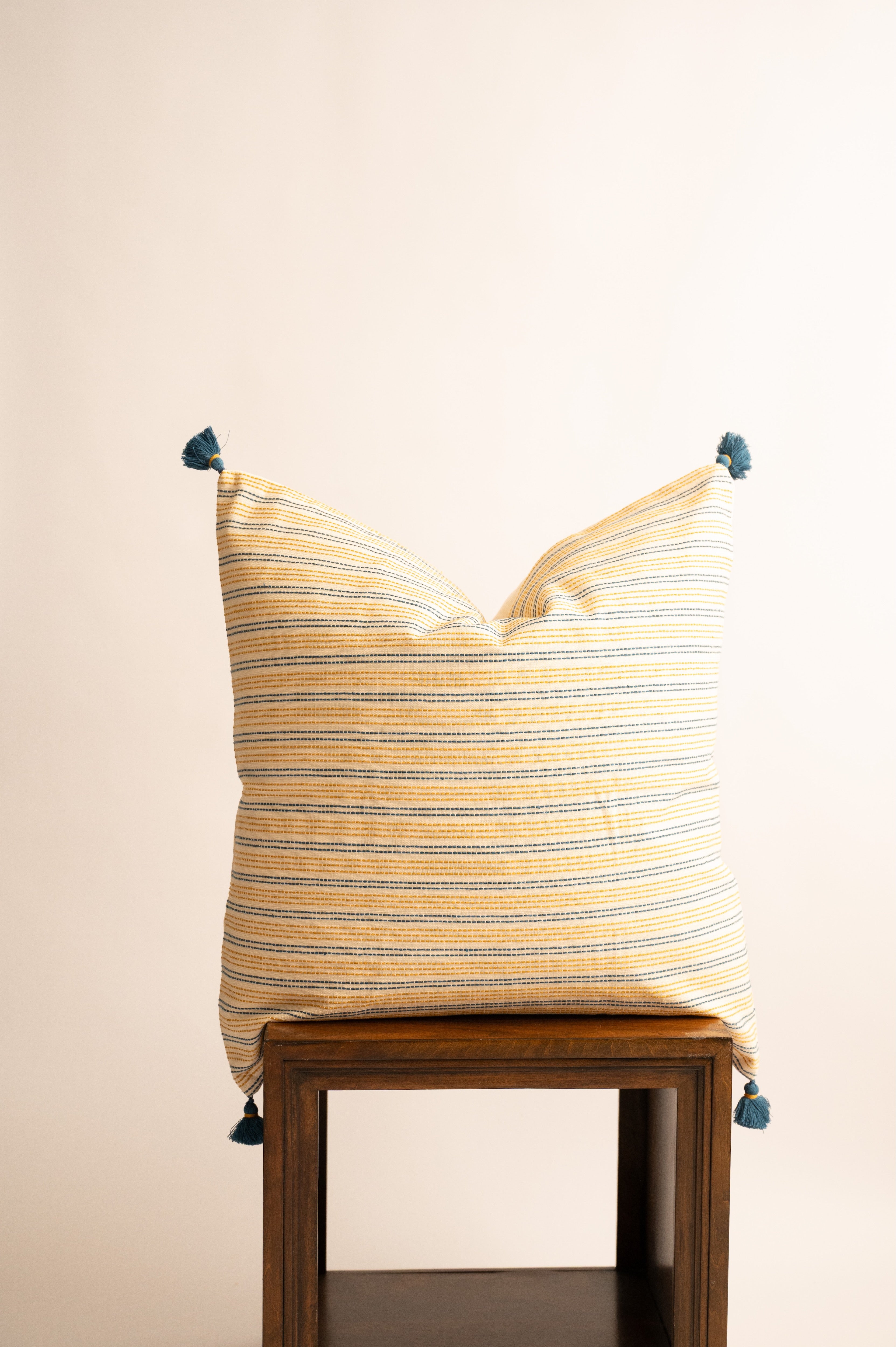 Ambar Handloom Throw Pillow 24"x24" Euro
